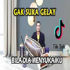 Download Lagu mp3 Koplo Time - Gak Suka Gelay (Bila Dia Menyukaiku) Versi Koplo