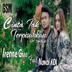 Download Lagu mp3 Irenne Ghea - Cinta Tak Terpisahkan Ft. Noval KDI (Dj Koplo)