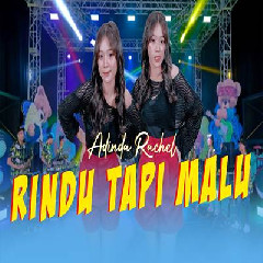 Download Lagu Adinda Rachel Rindu Tapi Malu.mp3
