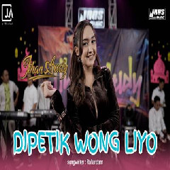Download Lagu Jihan Audy Dipetik Wong Liyo.mp3